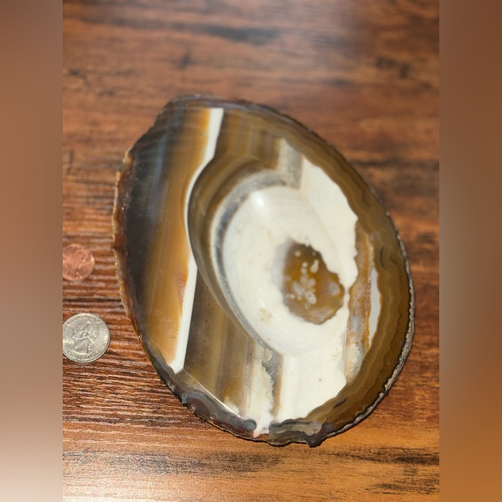 Natural Agate Slice Home Accent